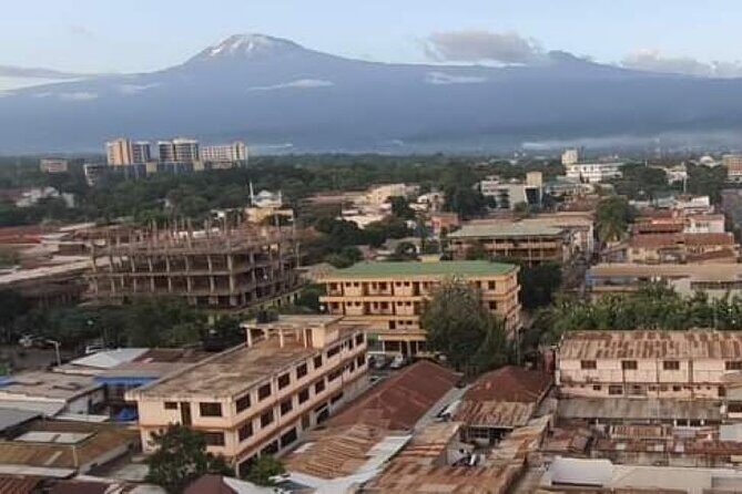 Materuni Thundering Waterfalls,Coffee Experience with Moshi Town Tour - Price and value: what you’re paying for at $60 per person