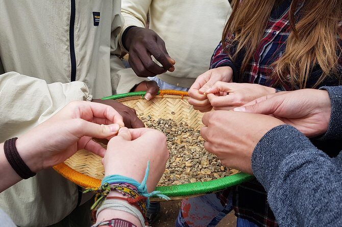 Materuni Waterfall and Coffee tour, Tanzania - Getting there the easy way: pickup, timing, and meeting points
