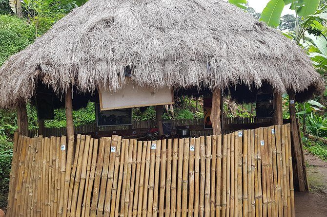 Materuni Waterfall and Coffee tour, Tanzania - Price and value: what $120 per person covers (and what you should compare)