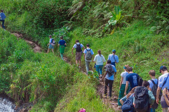 Materuni Waterfall and Kikuletwa Hot Spring Tour - Why This Moshi and Arusha Day Trip Works So Well