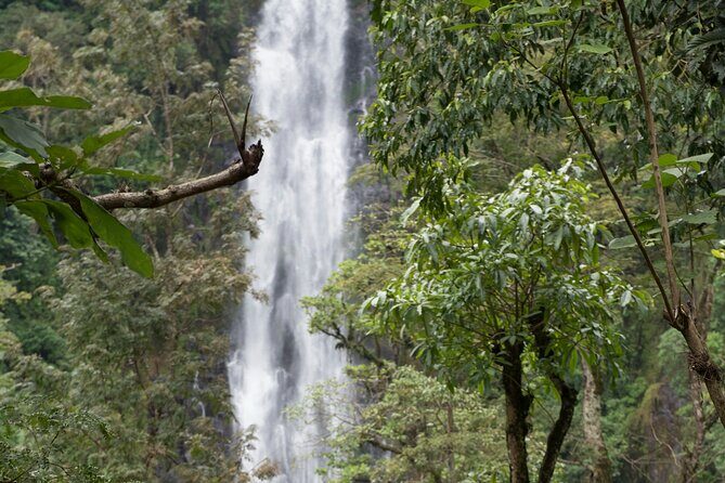 Materuni Waterfall and Kikuletwa Hot Spring Tour - Coffee Tour and Banana Beer Lunch: How the Day Gets Social