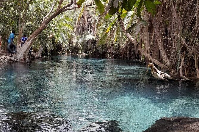 Materuni Waterfall and Kikuletwa Hot Spring Tour - Kikuletwa Hot Springs (Chemka): Warm Water, Clear Views, and Fish That Do Their Job