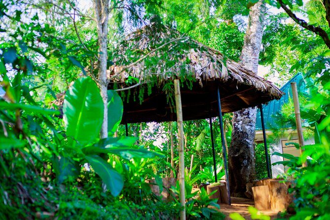 Materuni Waterfall and Kikuletwa Hot Spring Tour - Price and Value: What $136 Covers and Where Extra Costs Show Up
