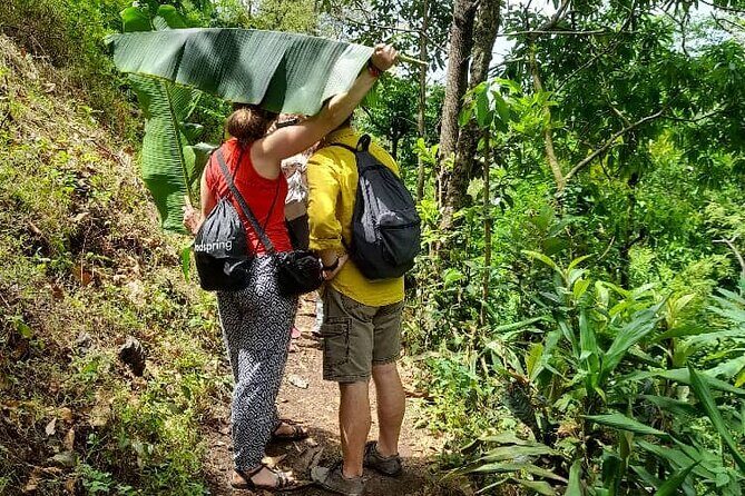 Materuni Waterfall and Kikuletwa Hot Spring Tour - Materuni Falls: The Easy Trek, the Chagga Stories, and the Swim Factor
