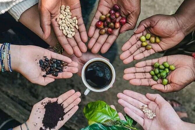 Materuni Waterfall Coffee Tour and Chemka Hot Springs Experience - Key highlights worth aiming for