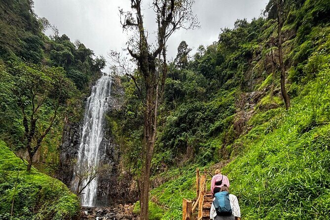 Materuni Waterfall Coffee Tour and Chemka Hot Springs Experience - Chemka Hot Springs: warm reset after the hike