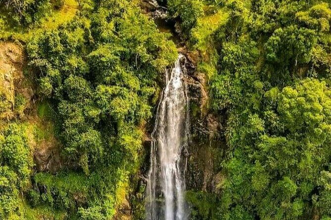 Materuni Waterfall Coffee Tour and Chemka Hot Springs Experience - Pickup, timing, and how to plan your day like a pro