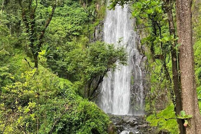 Materuni waterfall , coffee tour and hotsprings (chemka ) - Key highlights at a glance