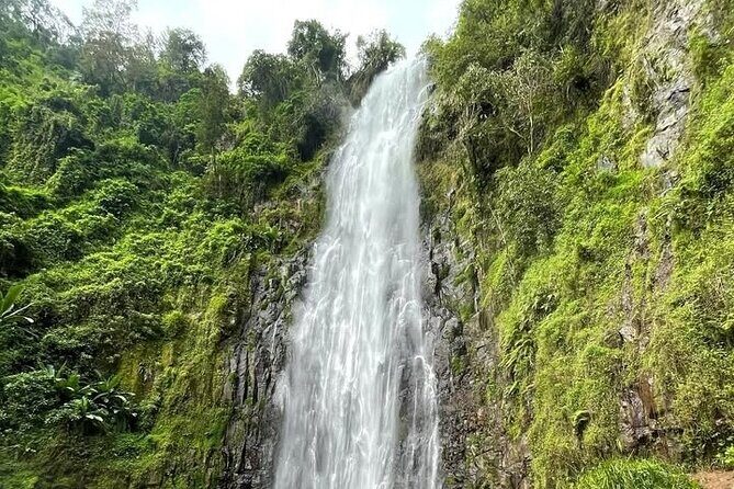 Materuni waterfall , coffee tour and hotsprings (chemka ) - Why this Materuni Waterfall day works so well