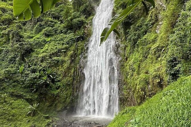 Materuni waterfall , coffee tour and hotsprings (chemka ) - Materuni Waterfall hike: what that rainforest walk is like