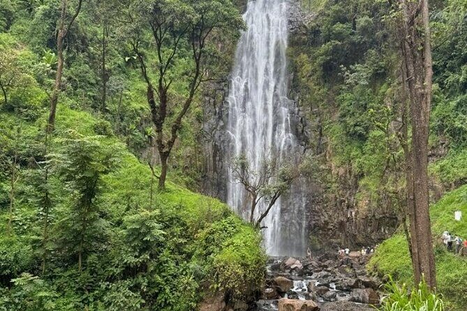 Materuni waterfall , coffee tour and hotsprings (chemka ) - Lunch with Chagga-style flavors (and why it matters here)
