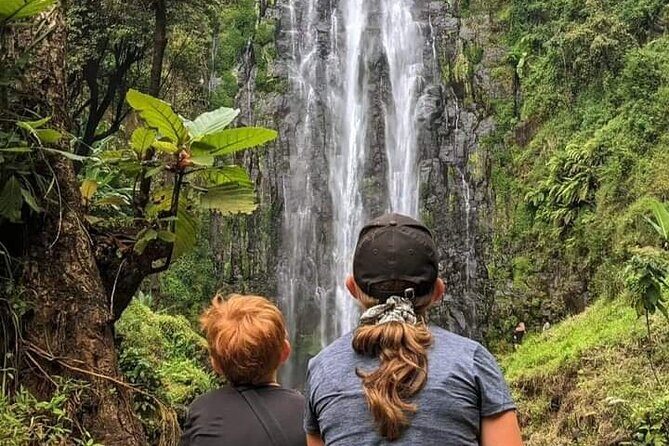 Materuni waterfall , coffee tour and hotsprings (chemka ) - Your day’s rhythm: 8:00 pickup to a full return to Moshi
