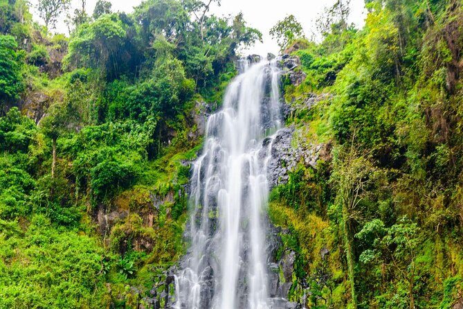 Materuni waterfall - coffee tour OR Chemka hot spring Tour - Key highlights that make this day trip work