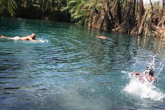 Materuni waterfall - coffee tour OR Chemka hot spring Tour - What the guide and driver quality means for your actual experience