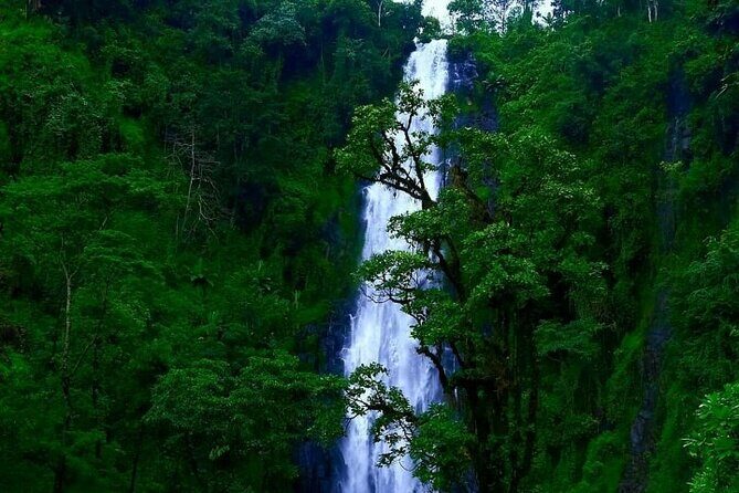 Materuni waterfall - coffee tour OR Chemka hot spring Tour - Entering Materuni: a waterfall hike that includes local irrigation stories