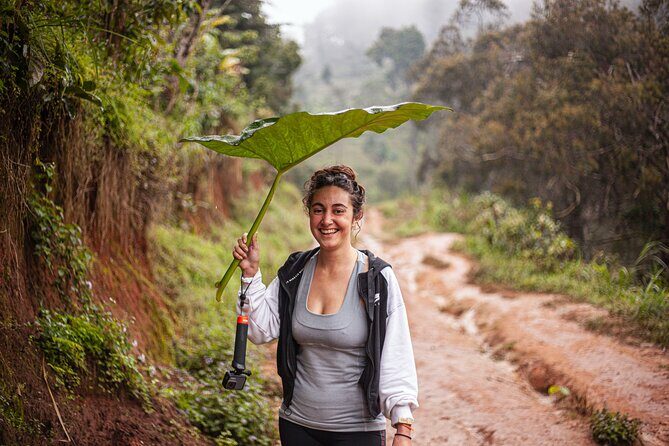 Materuni Waterfall E-Bike Day Trip - From One Bike Shop to Chagga Village Life: the Ride That Sets the Tone