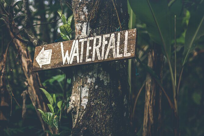 Materuni Waterfall Hike & Coffee Tour - Key points that make this tour work