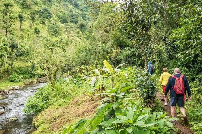 Materuni Waterfall Hike & Coffee Tour - Why Materuni Waterfalls beat a typical Kilimanjaro-style day