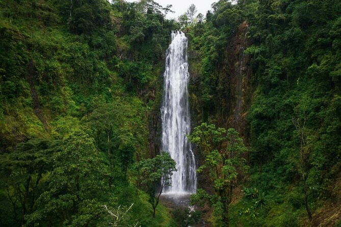 Materuni Waterfall Hike & Coffee Tour - Private feel with small-group limits (and why it’s not just marketing)
