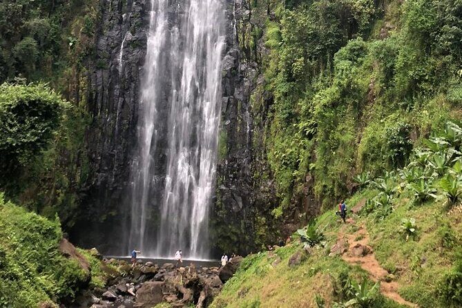Materuni Waterfall Hike & Coffee Tour - Who should book this Materuni Waterfall and Coffee tour?