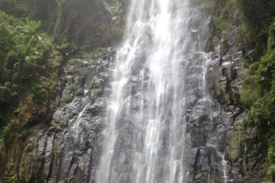 Materuni Waterfalls and Coffee Tour - Getting from Arusha to the trail: pickup, timing, and group pace