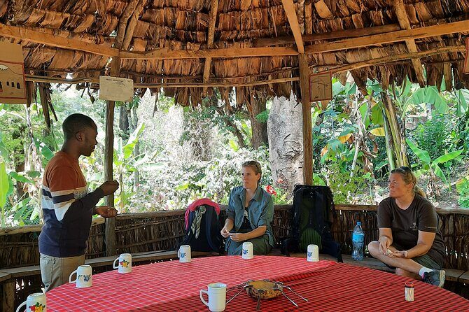 Materuni waterfalls and coffee Tour - Lunch, Water, and Private Transportation: The Day’s Practical Backbone