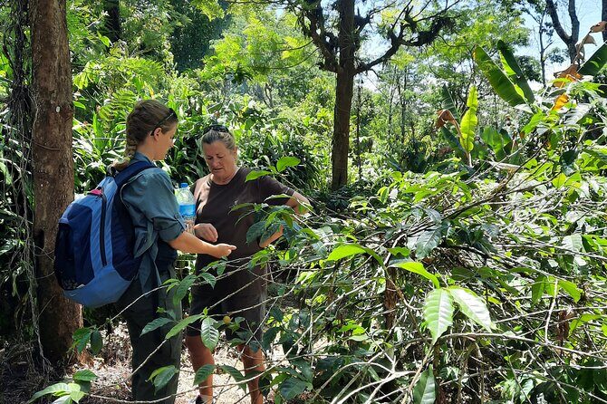 Materuni waterfalls and coffee Tour - Who Should Book This Materuni and Coffee Combo