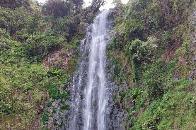 Materuni Waterfalls and Coffee Tour in Moshi - Making Coffee the Chagga Way: Berry to Cup in Real Time