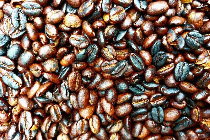 Materuni Waterfalls and Coffee Tour in Moshi - Transportation, Duration, and the Real Pace of the Day