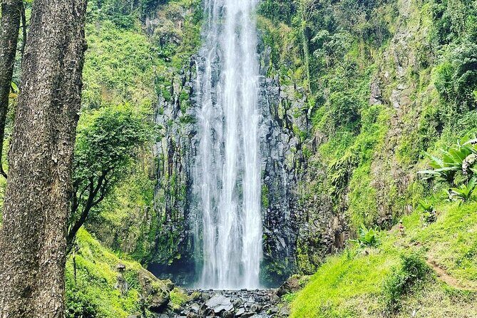 Materuni Waterfalls and Coffee Tour in Moshi - Banana Wine and Beer Testing: A Small Stop With Big Culture Energy