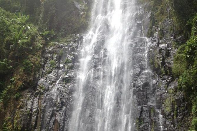 Materuni Waterfalls and Coffee Tour - Getting from Arusha to the trail: pickup, timing, and group pace