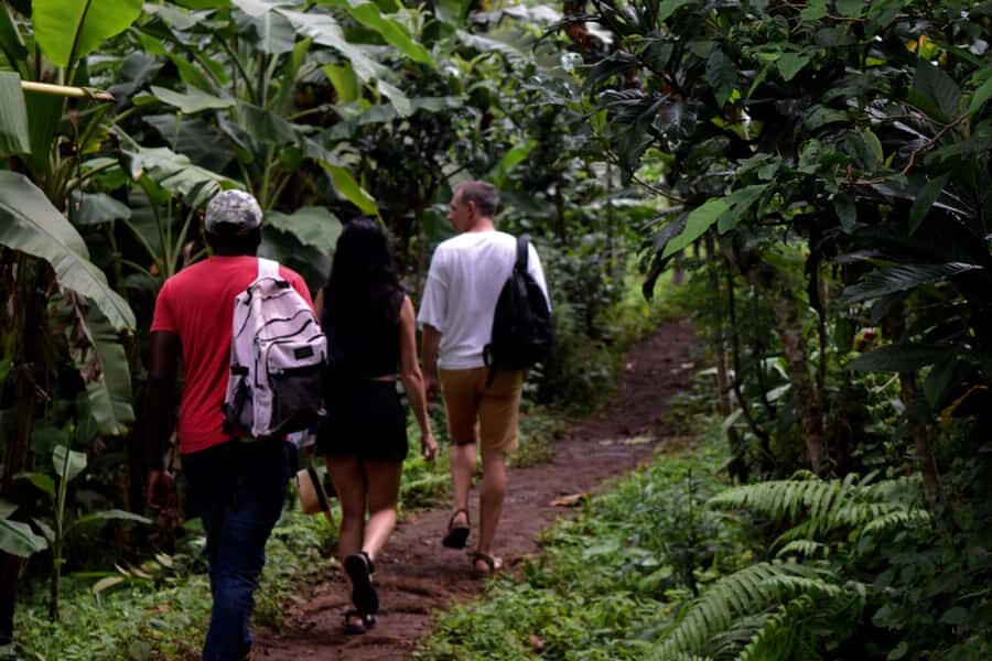 Materuni Waterfalls, Chemka Hot Springs, &/Or Coffee Tour - Materuni Village and Waterfalls: Culture Walk, Chameleon Moments, and a Real Swim
