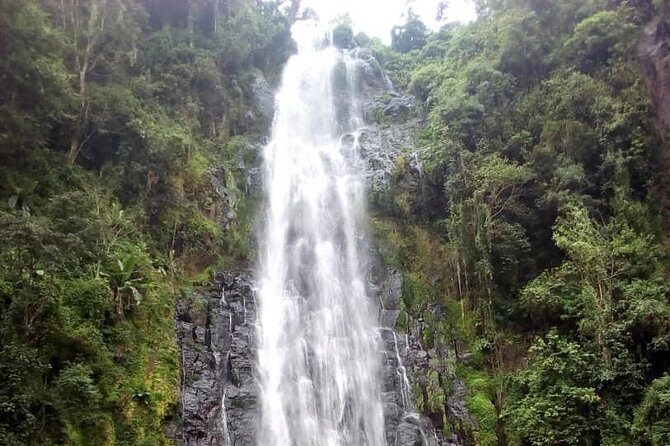 Materuni Waterfalls & Coffee making Cultural Tour | BURIGI CHATO SAFARIS LTD - Materuni in one 6-hour day: why it feels bigger than it is