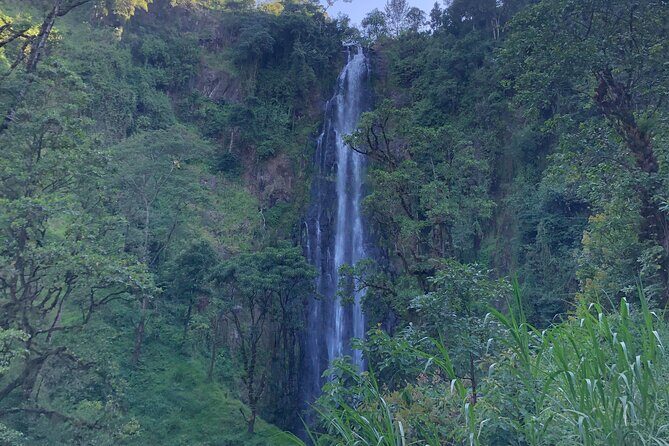 Materuni Waterfalls & Coffee Tour - Walking to Materuni Waterfalls: What the 45-Minute Hike Feels Like