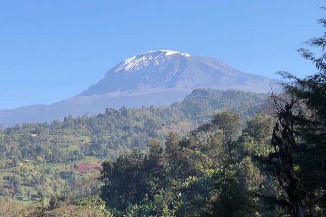 Materuni Waterfalls & Coffee Tour - Lunch, Bottled Water, and the Day’s Pace