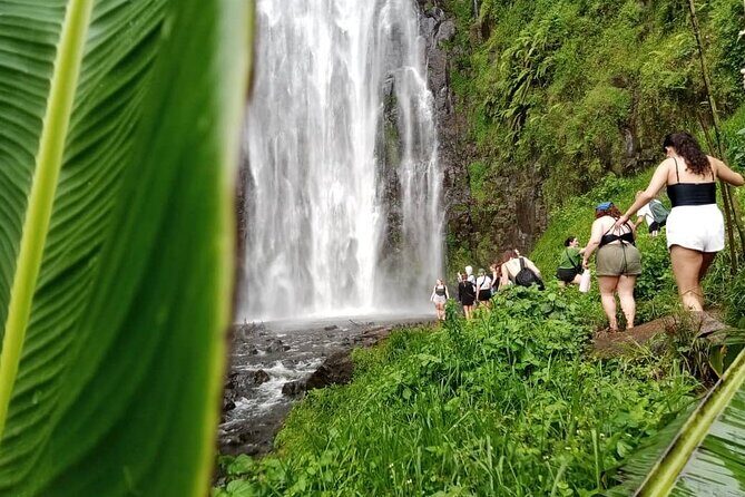 Materuni Waterfalls Hiking Tour with Coffee and Traditional Meal - Key highlights worth your morning