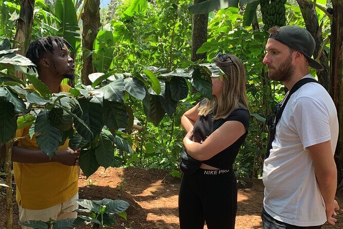 Materuni Waterfalls Hiking Tour with Coffee and Traditional Meal - Guides and the human factor: names to remember