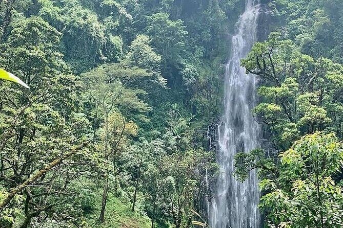 Materuni Waterfalls, Kikuletwa Chemka Hot springs, Coffee tour - Key Highlights You’ll Actually Care About