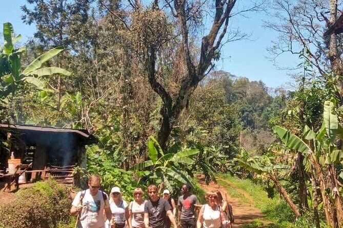 Materuni Waterfalls, Kikuletwa Chemka Hot springs, Coffee tour - Materuni Waterfalls: The Walk and the Cold-Water Payoff