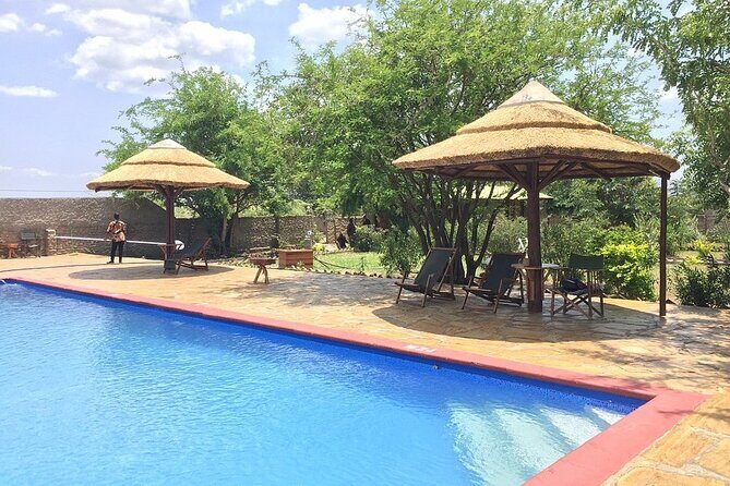 Mikumi National Park 2 Days/ 1 Night - Price and Value: What $640 Includes (and What You Might Budget For)