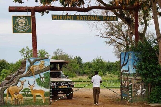 Mikumi National Park 2 Days/ 1 Night - Who This Mikumi Tour Fits Best
