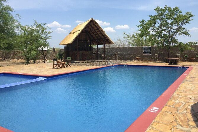 Mikumi National Park 2 Days/ 1 Night - Day 1: Sunset Game Drive Plus Dinner and Overnight at Bastian Camp