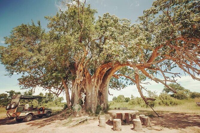 Mikumi National Park 3 Day Tour - Mikumi National Park: Why this 3-day setup works so well