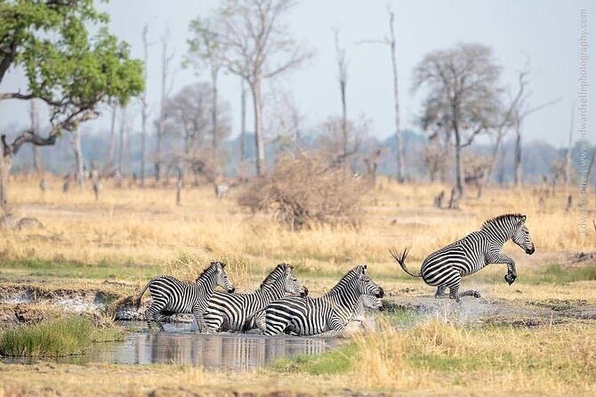 Mikumi National Park 3 Day Tour - My call: Should you book this 3-day Mikumi experience?