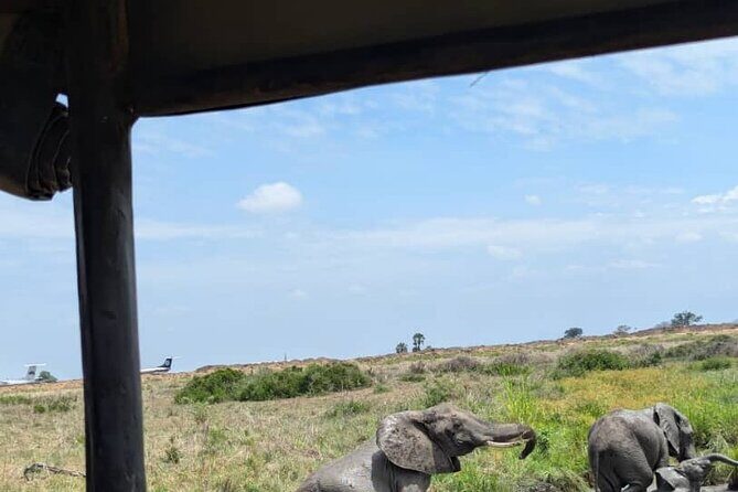 Mikumi National Park Day Trip by Train From Dar Es Salaam - Guide Hussein: professionalism you feel in the moment