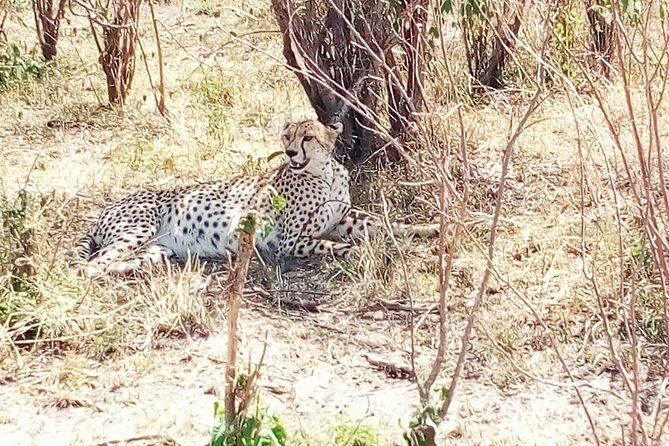 Mikumi national park full day tour from Dar es sallam - The 5:00 am start: how the long drive really works