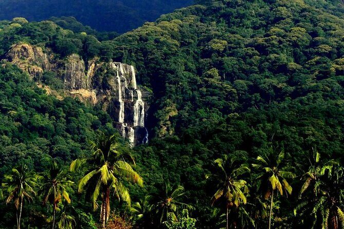 Mikumi National Park & Udzungwa Water Falls 3 Days Group Tour - Key Things That Make This Tour Worth Your Time