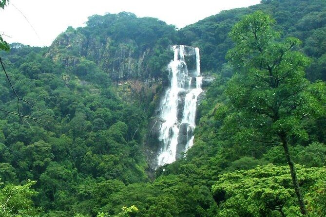 Mikumi National Park & Udzungwa Water Falls 3 Days Group Tour - Dar es Salaam to Mikumi: The 4:30AM Start That Sets the Tone