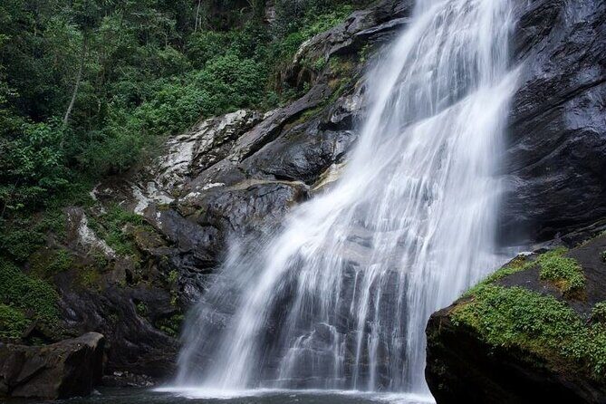 Mikumi National Park & Udzungwa Water Falls 3 Days Group Tour - Price and Value Check: Is $770 Per Person a Good Deal?