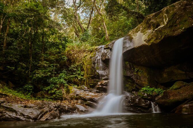 Mikumi National Park & Udzungwa Water Falls 3 Days Group Tour - The Udzungwa Mountains Day: Hiking Trails, Three Waterfalls, and Swimming
